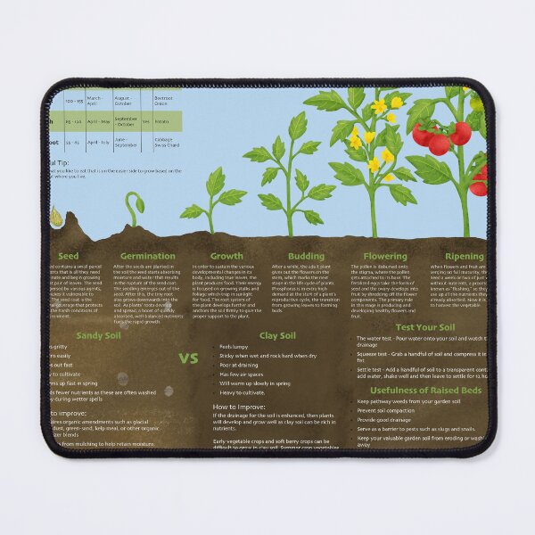 Item preview, Beginner Vegetable Garden Guide designed and sold by LexIllustration.