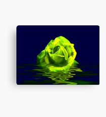 Rose #4 Canvas Print