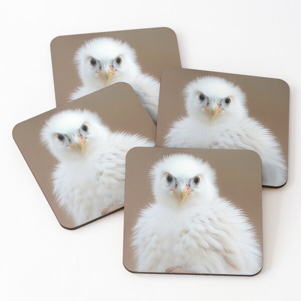 Item preview, Hawk Chick Exploring Nature designed and sold by FireScreen.
