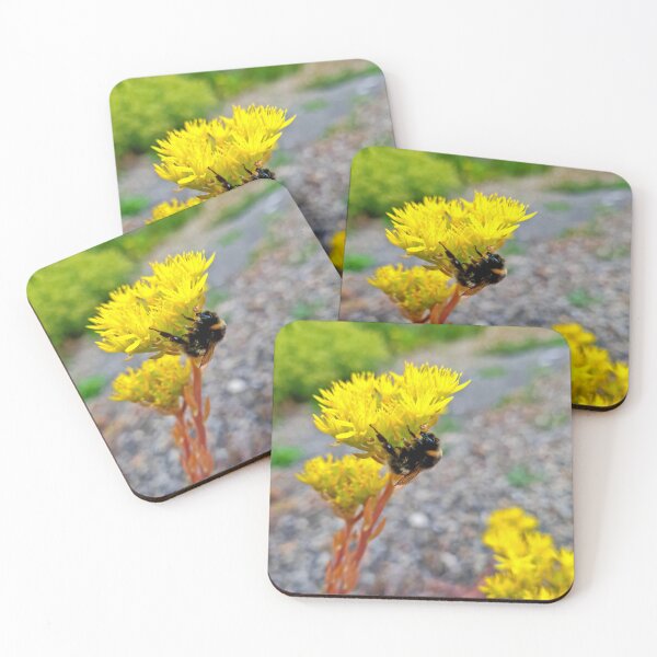 Item preview, The Importance of Bees designed and sold by Kat Simmons.
