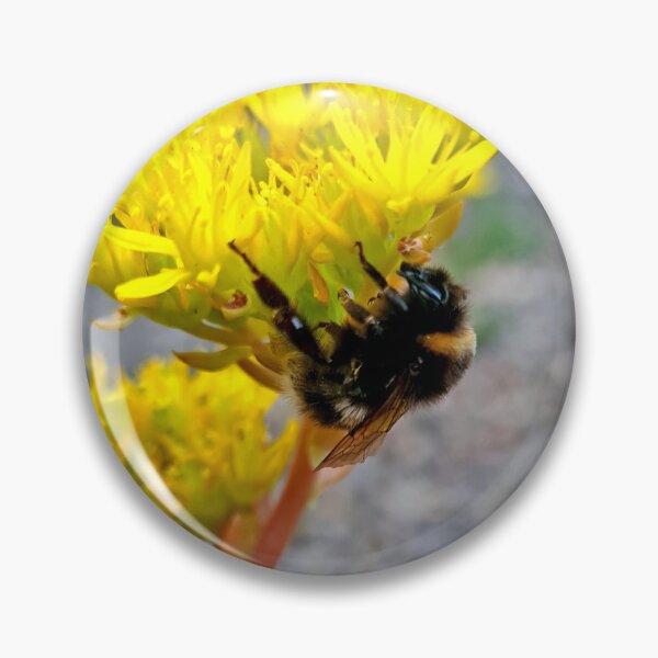 Item preview, The Importance of Bees designed and sold by Kat Simmons.