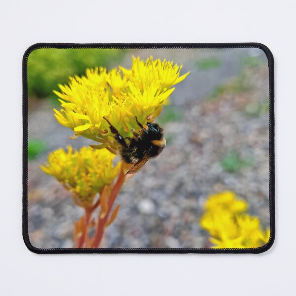 Item preview, The Importance of Bees designed and sold by Kat Simmons.