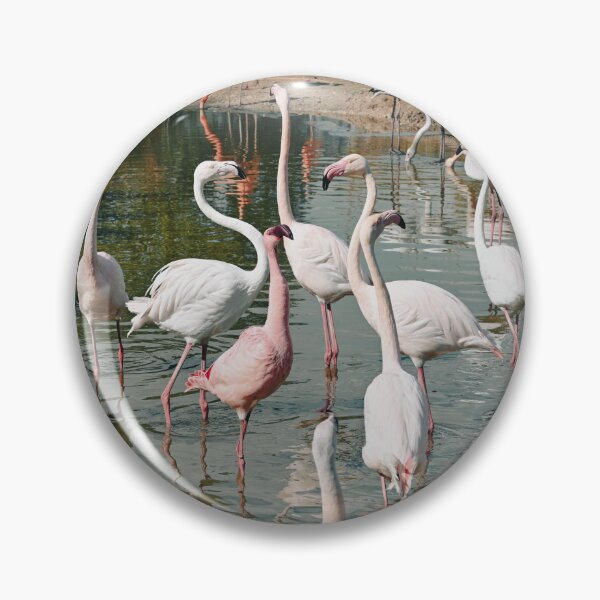 Item preview, Flamingos designed and sold by Kate-P-.