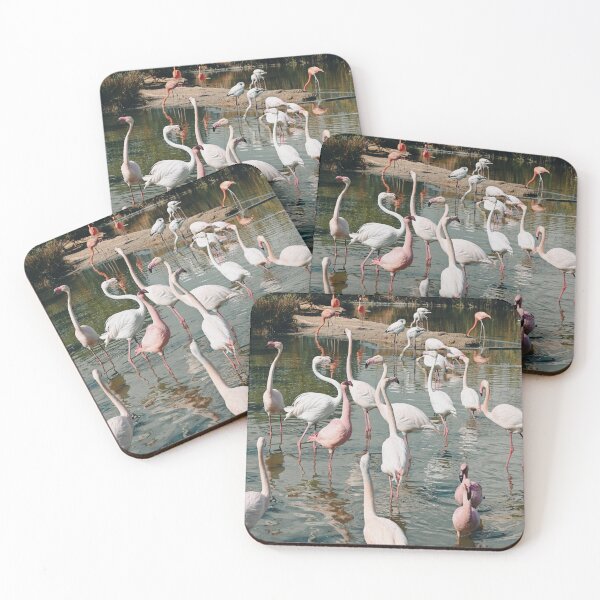 Item preview, Flamingos designed and sold by Kate-P-.