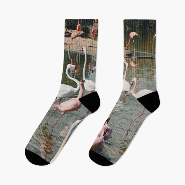 Item preview, Flamingos designed and sold by Kate-P-.