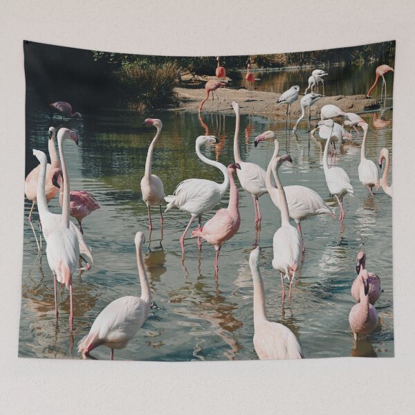 Item preview, Flamingos designed and sold by Kate-P-.