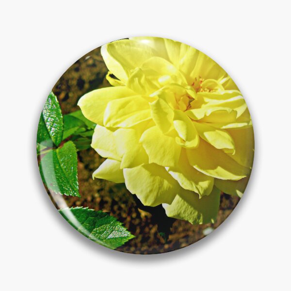 Item preview, Yellow rose designed and sold by Shulie1.