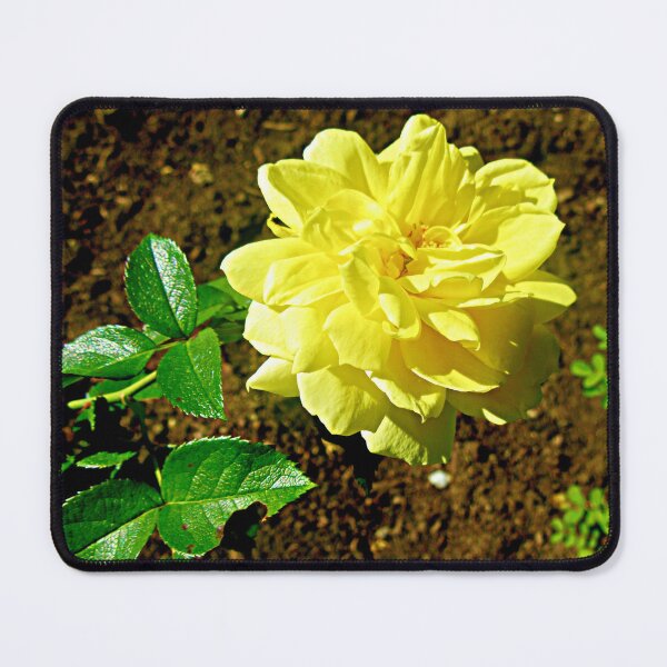 Item preview, Yellow rose designed and sold by Shulie1.