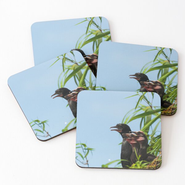 Item preview, Three Cormorant birds in branch of bamboo trees. designed and sold by kstanvir.