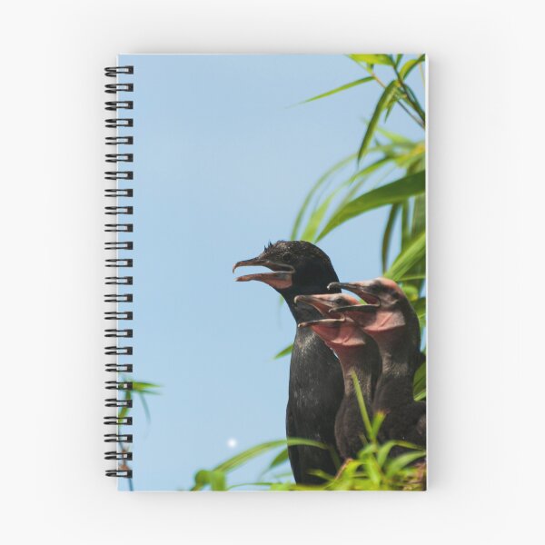 Item preview, Three Cormorant birds in branch of bamboo trees. designed and sold by kstanvir.