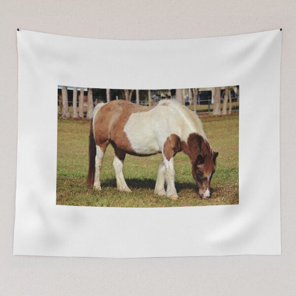Item preview, American Paint Horse designed and sold by Cynthia48.