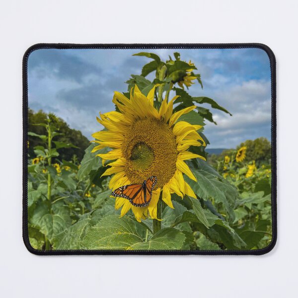 Item preview, Orange Butterfly and Sunflower designed and sold by Craig Kauzmann.