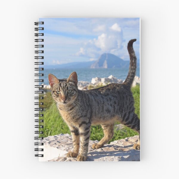 Item preview, Greek Cat, Patras seafront designed and sold by Random Railways.