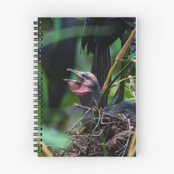 Item preview, Little baby of cormorant bird photography  designed and sold by kstanvir.