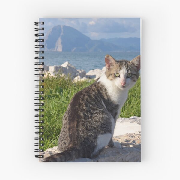 Item preview, Greek Cat, Patras seafront designed and sold by Random Railways.