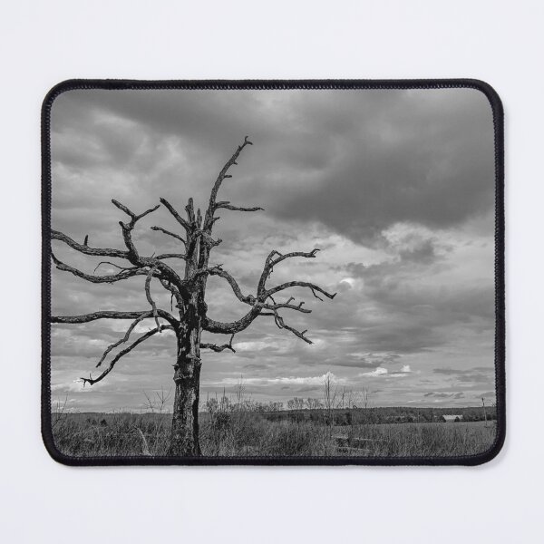 Item preview, Tree designed and sold by Craig Kauzmann.