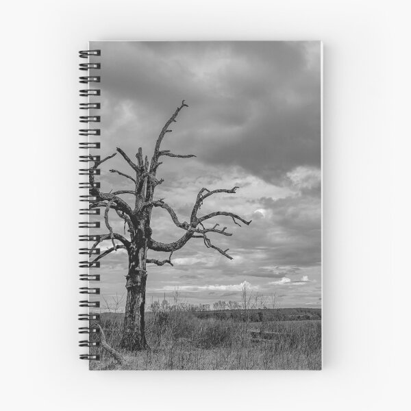 Item preview, Tree designed and sold by Craig Kauzmann.