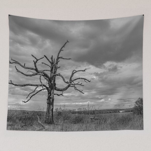 Item preview, Tree designed and sold by Craig Kauzmann.