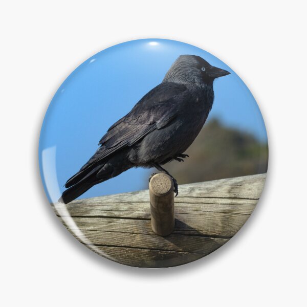 Item preview, Jackdaw Keeping Fit designed and sold by GingerMan2550.