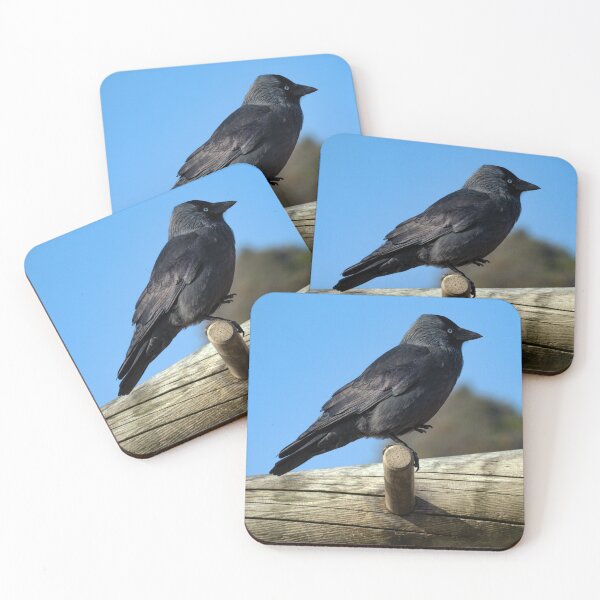 Item preview, Jackdaw Keeping Fit designed and sold by GingerMan2550.