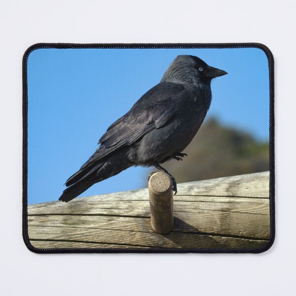 Item preview, Jackdaw Keeping Fit designed and sold by GingerMan2550.