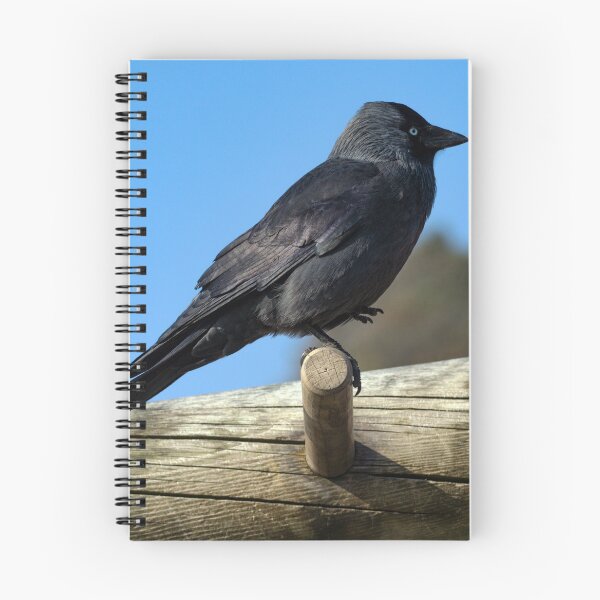Item preview, Jackdaw Keeping Fit designed and sold by GingerMan2550.