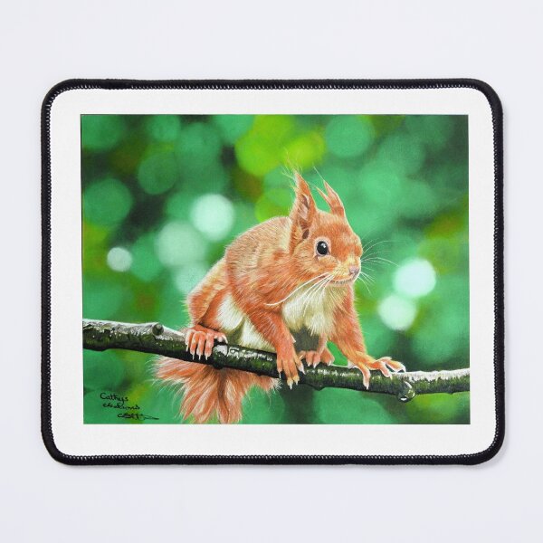 Item preview, red squirrel designed and sold by cathyscreations.