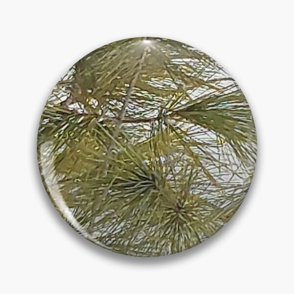 Item preview, Pine Tree in Ottaw Winter Wonderland. Buy Now designed and sold by Health And Fitness Posts e-Store.