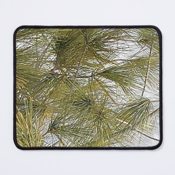 Item preview, Pine Tree in Ottaw Winter Wonderland. Buy Now designed and sold by Health And Fitness Posts e-Store.
