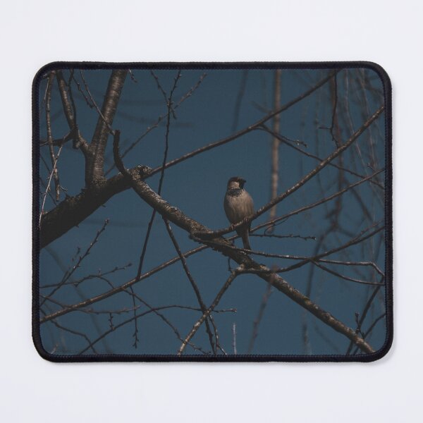 Item preview, Bird on a Branch designed and sold by TheeForestFox Shop.