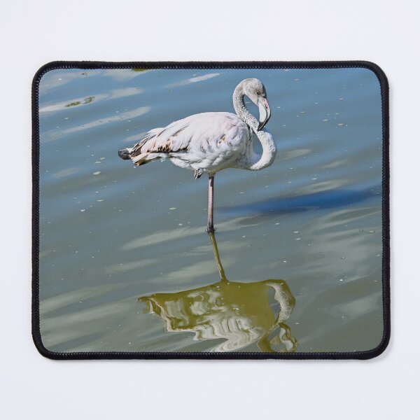 Item preview, Grey Flamingo designed and sold by Kate-P-.
