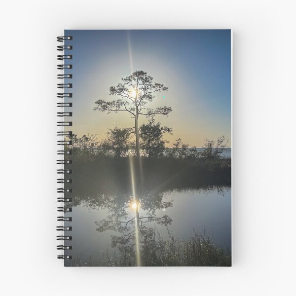 Item preview, Reflection Tree designed and sold by Craig Kauzmann.