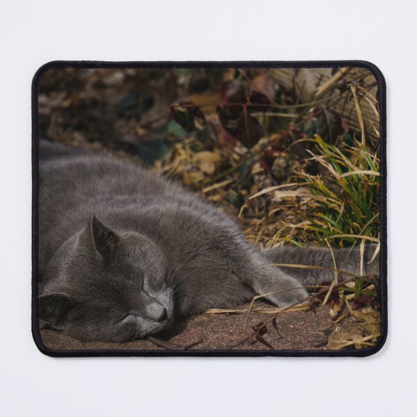 Item preview, Nap in the Sun designed and sold by TheeForestFox Shop.