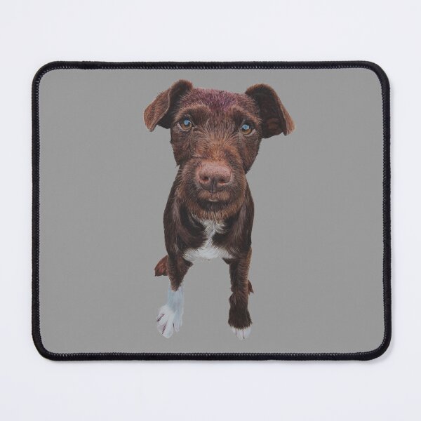 Item preview, Patterdale Terrier puppy, Joey designed and sold by cathyscreations.