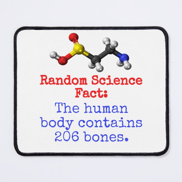 Item preview, The Human Body Contains 206 Bones - Science Fact designed and sold by CrankyOldDude.