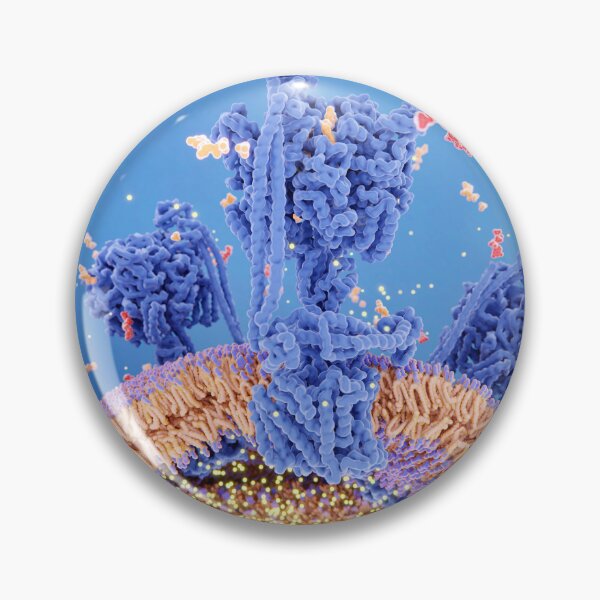 Item preview, ATP synthase creating ATP, 3D Medical Biology illustration, Mitochondrion designed and sold by ScienceSource.