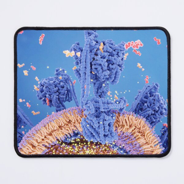 Item preview, ATP synthase creating ATP, 3D Medical Biology illustration, Mitochondrion designed and sold by ScienceSource.
