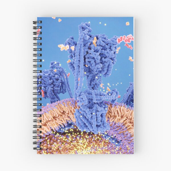 Aperçu de l'œuvre ATP synthase créant de l'ATP, illustration de biologie médicale 3D, mitochondrie créée et vendue par ScienceSource.