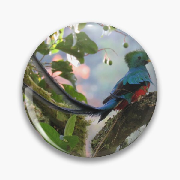 Item preview, Male Quetzal in Tree designed and sold by julyperson.