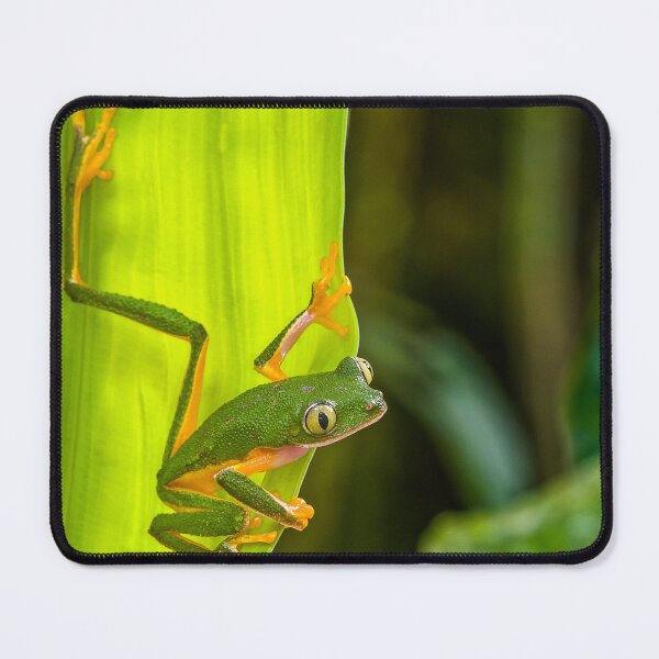 Item preview, Cute Monkey Treefrog in the Rainforest designed and sold by ScienceSource.