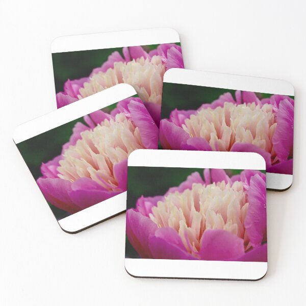 Item preview, Flower photo designed and sold by TheGhostbee.