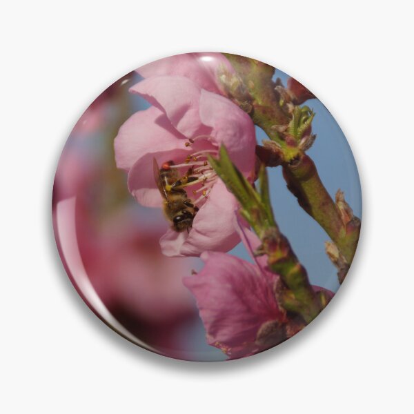 Item preview, Busy as a Bee - Spring at Magpie Springs by Avril Thomas designed and sold by MagpieSprings.