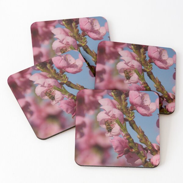Item preview, Busy as a Bee - Spring at Magpie Springs by Avril Thomas designed and sold by MagpieSprings.