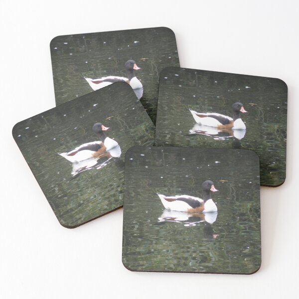 Item preview, Shelduck Reflection on Water Photograph designed and sold by naturegallery.