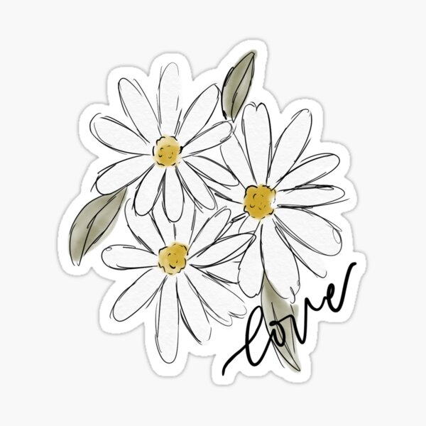 Daisy Sticker Vinyl Bundle