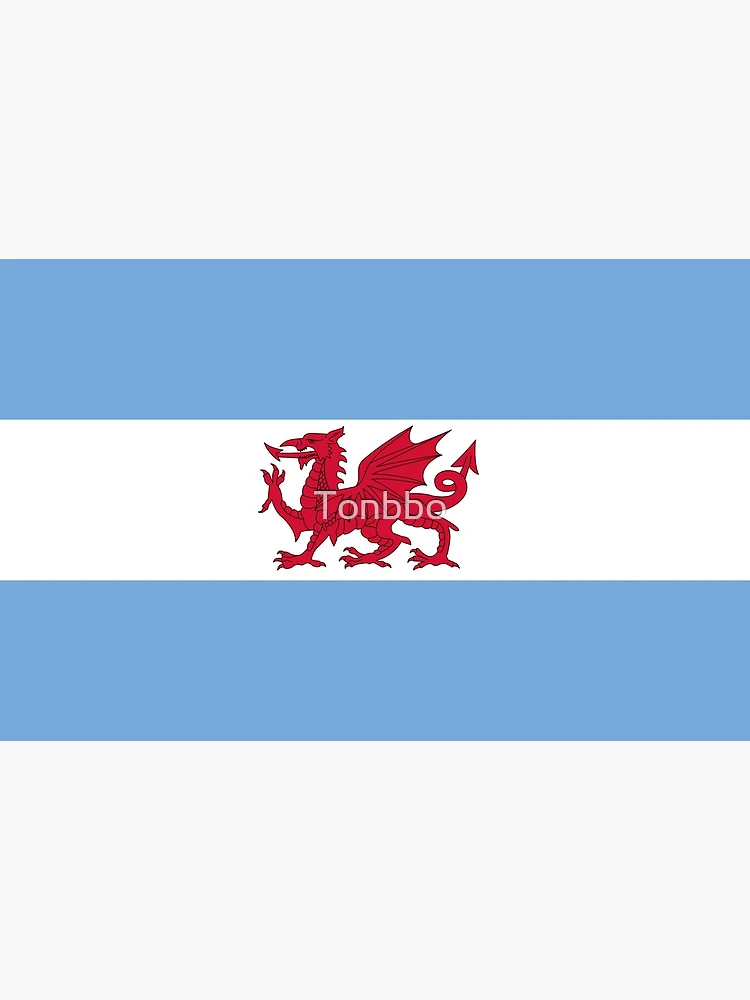  Flag of The Welsh Colony in Patagonia Men's Athletic
