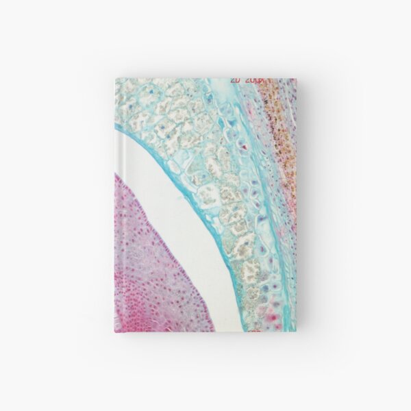 Plants under microscope Hardcover Journal