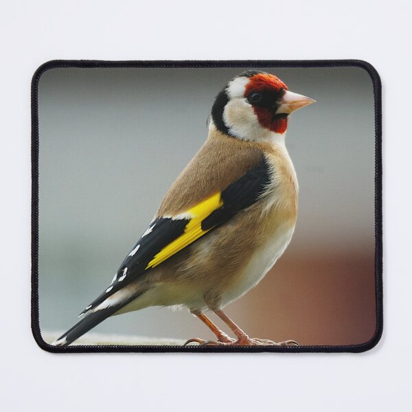 Item preview, Goldfinch designed and sold by AnnaWoodNature.
