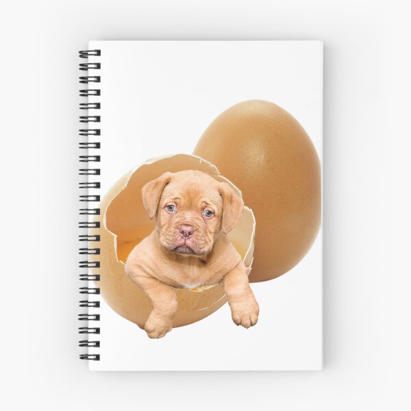 Item preview, POPPY DOG IN EGG ! designed and sold by RBBLSTKRZ21.