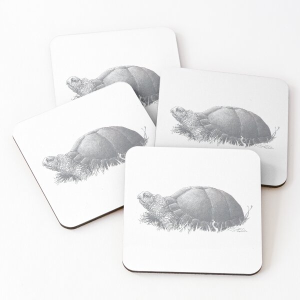 Item preview, Turtle - pencil drawing of a turtle in the grass designed and sold by Rick Paller.